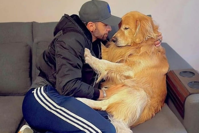 João Ettore Fantazzini Junior